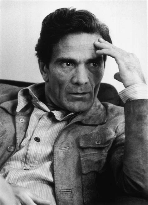 pier pasolini wiki